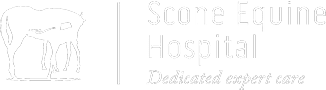 Scone Equine Hospital